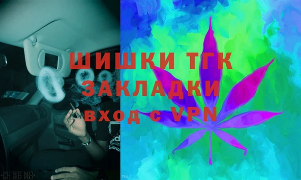 индика Касимов