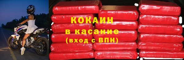 индика Касимов