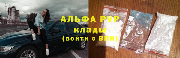 индика Касимов