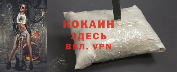 индика Касимов