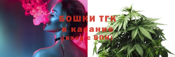 индика Касимов