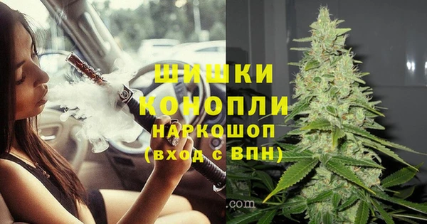 спиды Семёнов