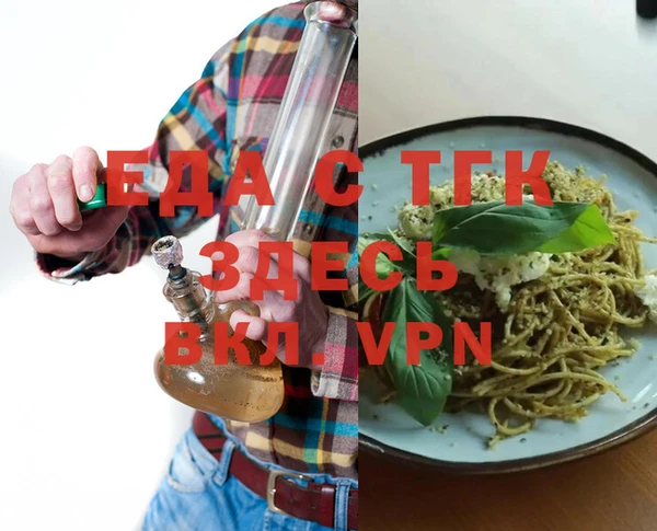индика Касимов