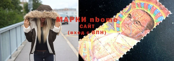 индика Касимов