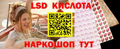 mdpv Заводоуковск