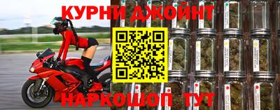 mdpv Заводоуковск