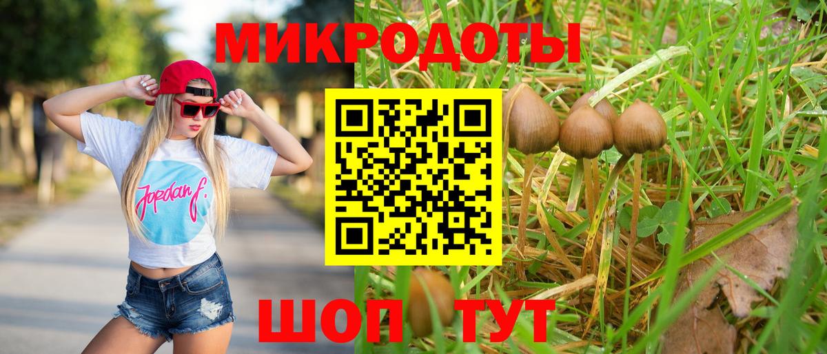 Таганрог  Галлюциногенные грибы прущие грибы  Вход с VPN  Галлюциногенные грибы Psilocybe 